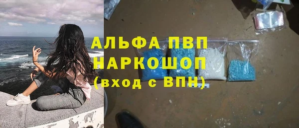 СК Алексеевка