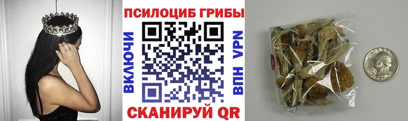 наркошоп  omg сайт  Псилоцибиновые грибы GOLDEN TEACHER  Отрадная 