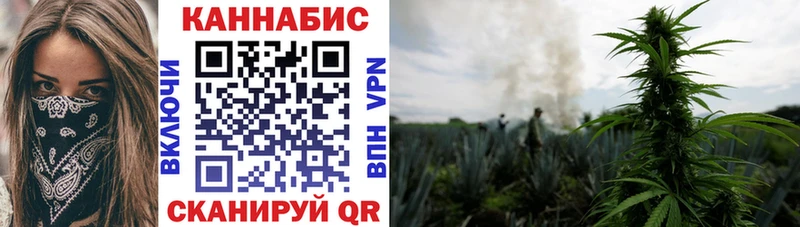 Каннабис индика Отрадная